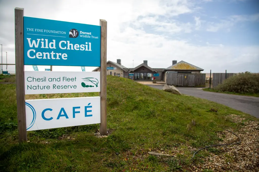 Chesil Beach - Visit Dorset