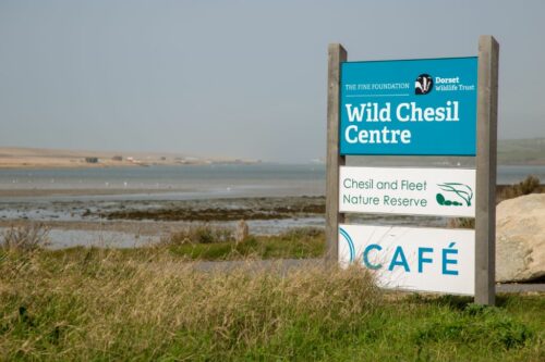 Dorset Wildlife Trust 7