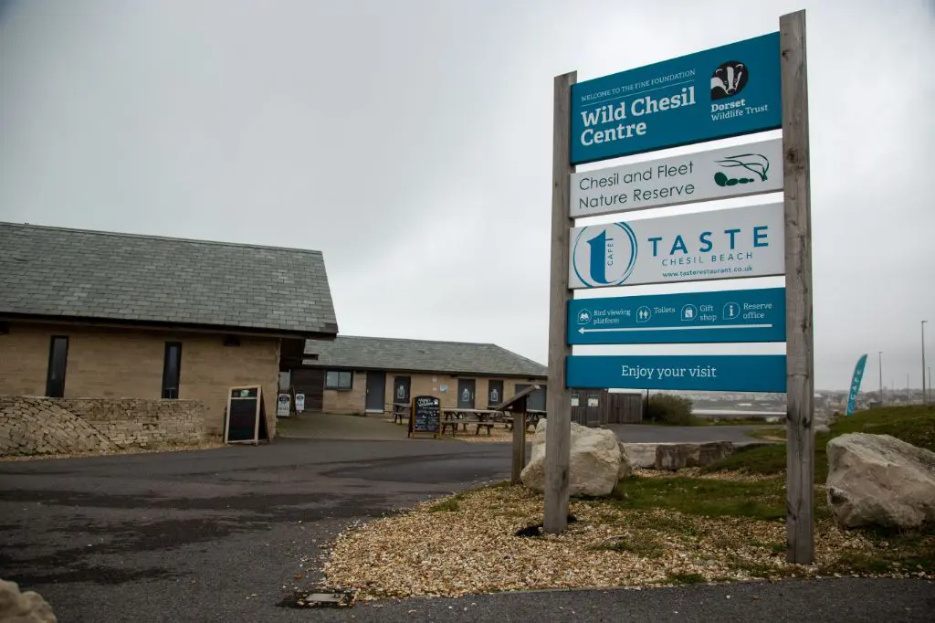 Dorset Landmarks: Chesil Beach